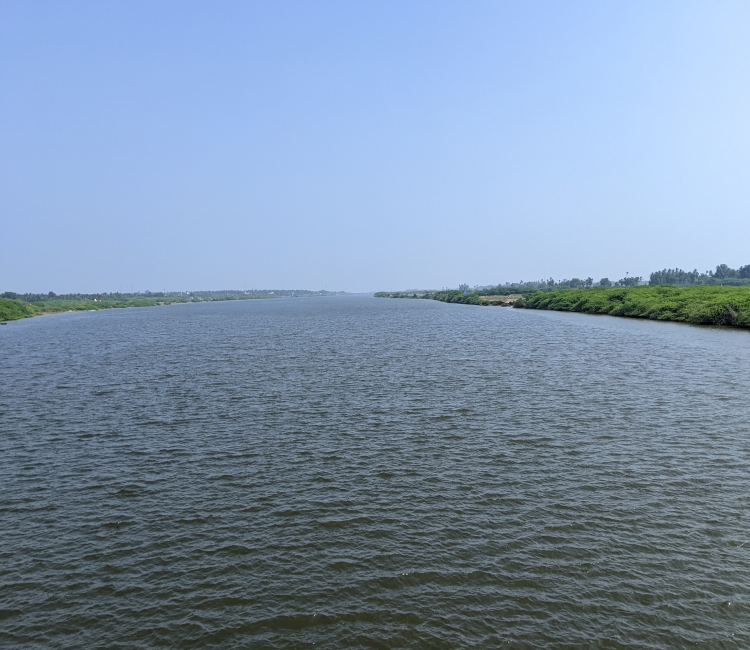vellar river tamilnadu